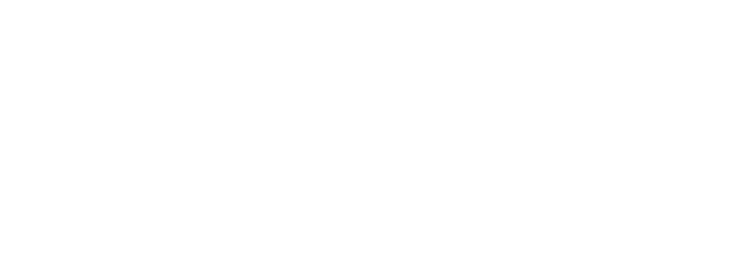 Lingerie Audace